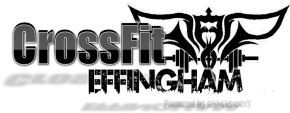 FORGING ELITE FITNESS